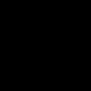 Meet your Posher, Fanta